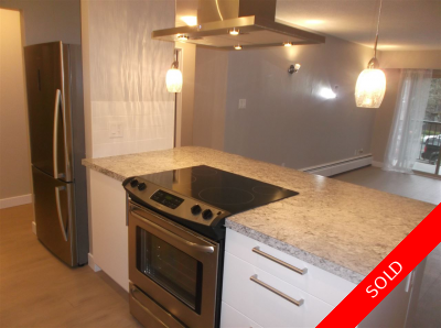 Lower Lonsdale Apartment/Condo for sale: 1 bedroom (Listed 2016-12-23)